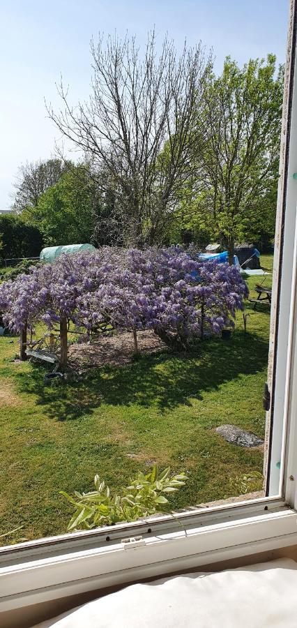 Wisteria House Bed and Breakfast Chanteloup  Buitenkant foto