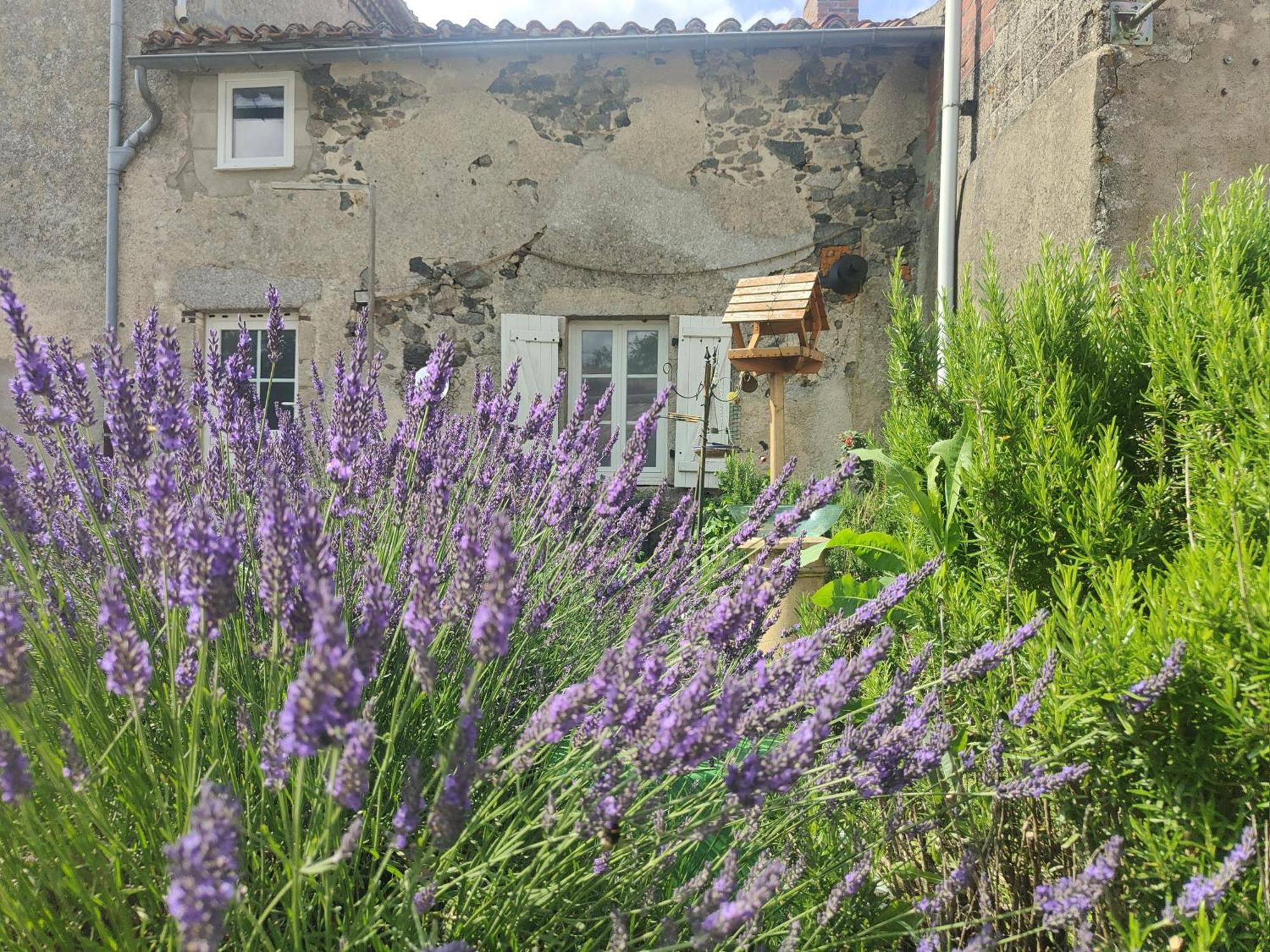 Wisteria House Bed and Breakfast Chanteloup  Buitenkant foto