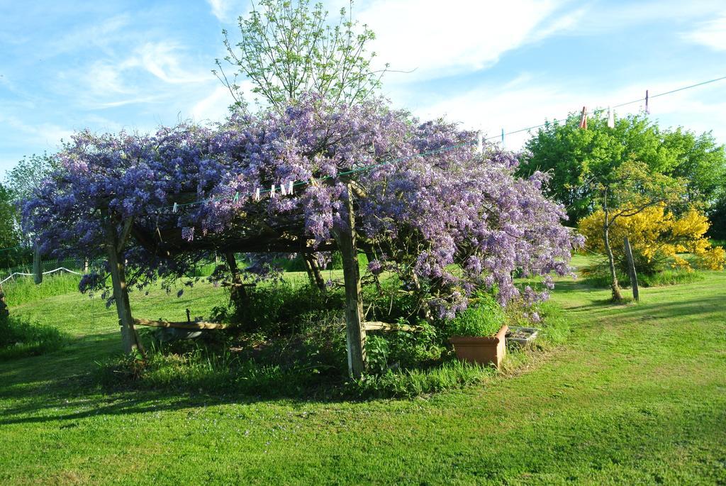 Wisteria House Bed and Breakfast Chanteloup  Buitenkant foto