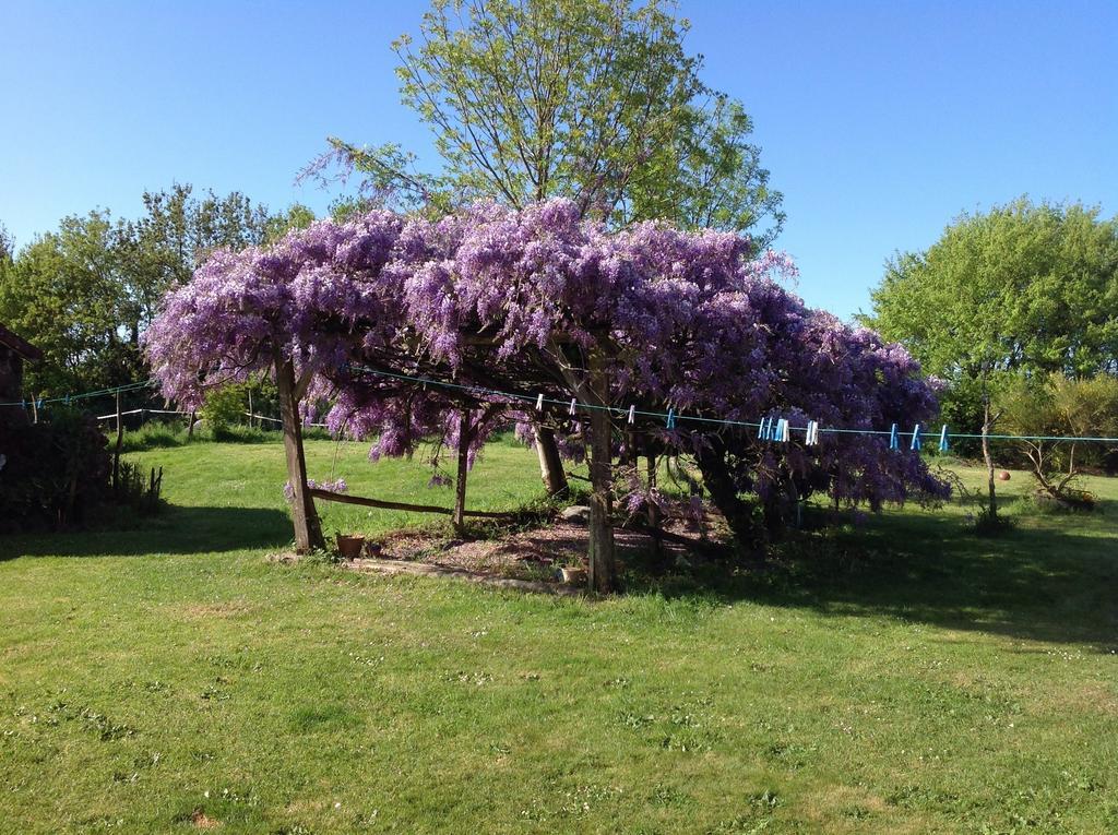 Wisteria House Bed and Breakfast Chanteloup  Buitenkant foto